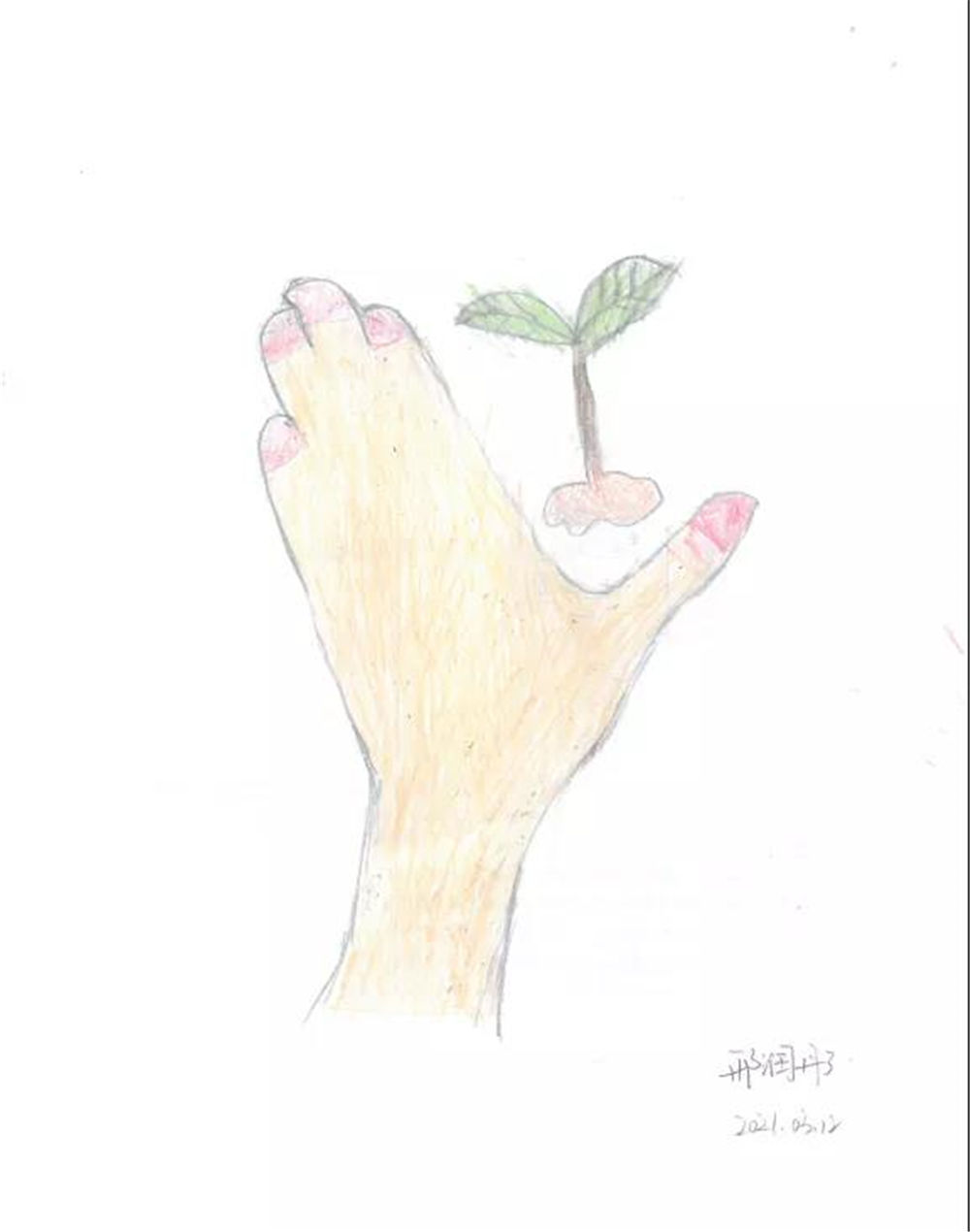 1617846590967569.jpg 1617846590967569.jpg