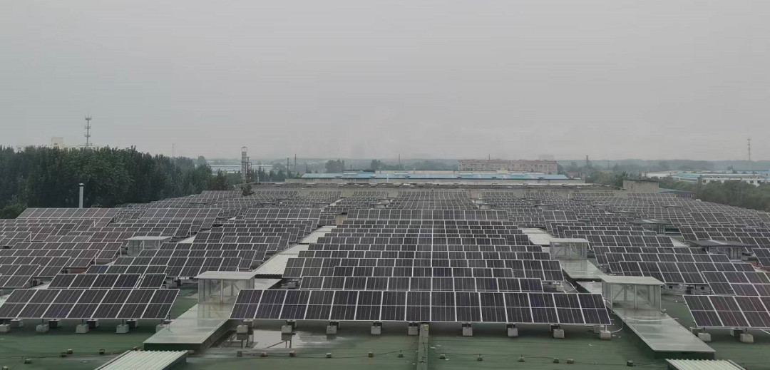 1661925970956854.png 7.png