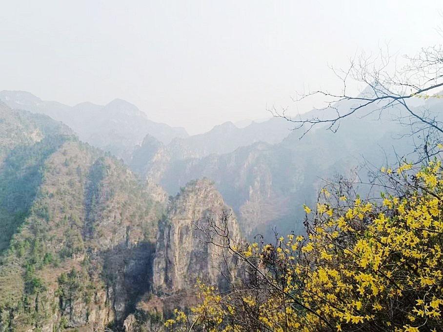 1681798515636999.jpg 微信圖片_20230418114542.jpg