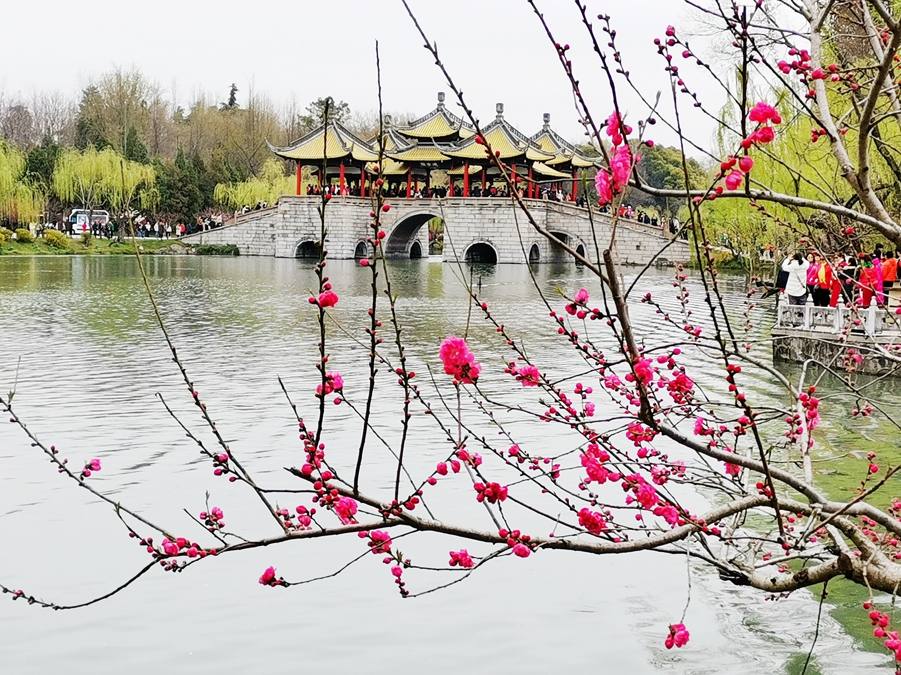 1681865691274284.jpg 微信圖片_20230419082900.jpg