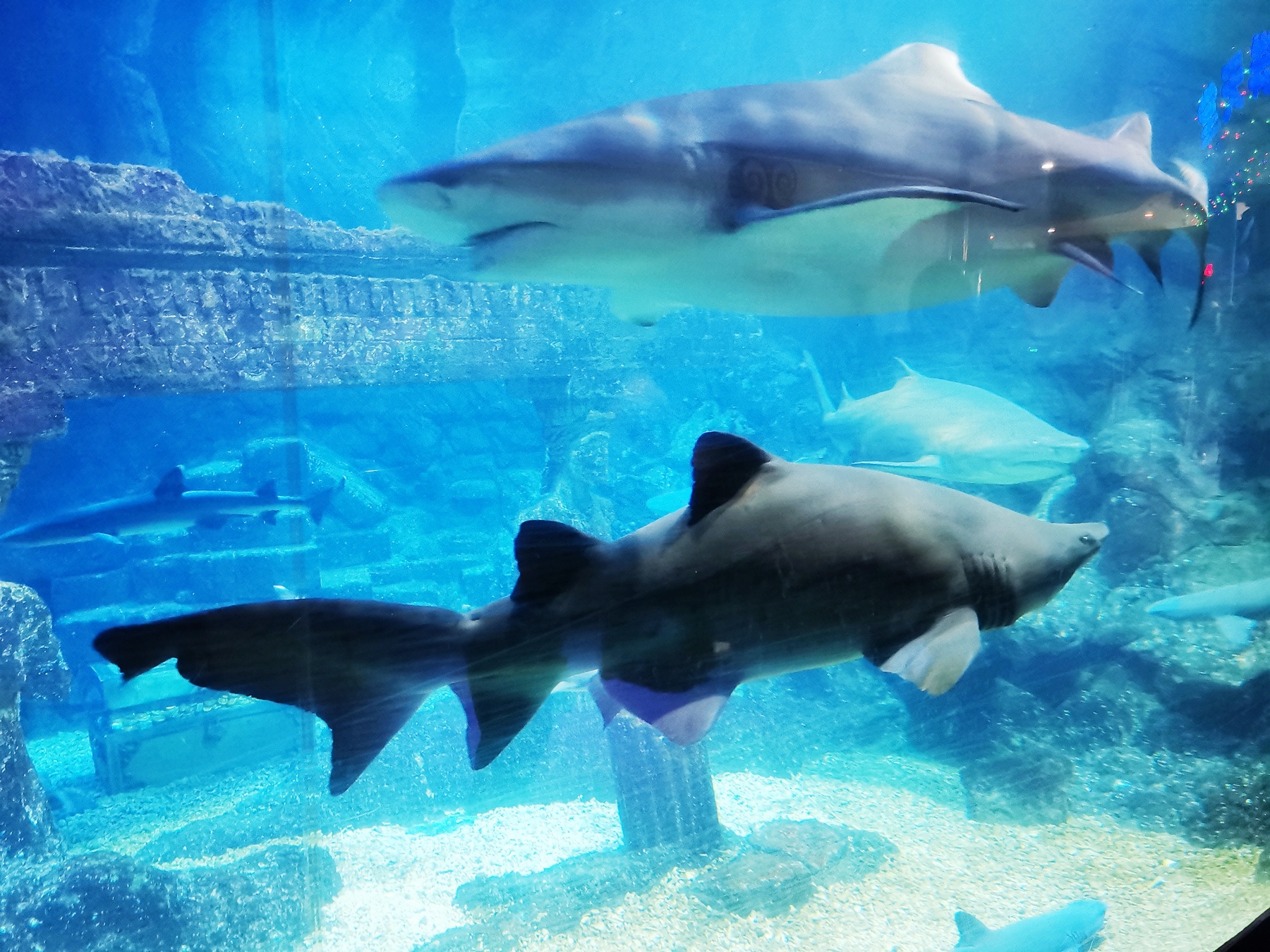 1681868734115927.jpg 微信圖片_20230419093317.jpg